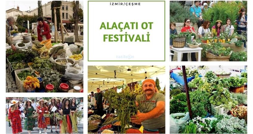 ALAÇATI OT FESTİVALİ - İZMİR - EFES - ŞİRİNCE TURU